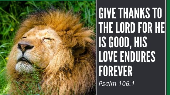 An image shows a lion and the bible verse, "Give thanks to the Lord for he i s good, his love endures forever."